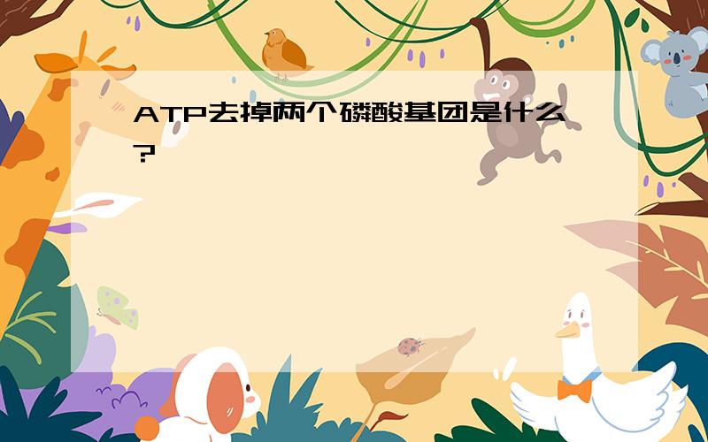 ATP去掉两个磷酸基团是什么?