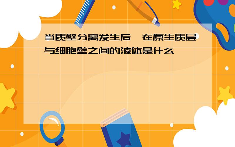 当质壁分离发生后,在原生质层与细胞壁之间的液体是什么