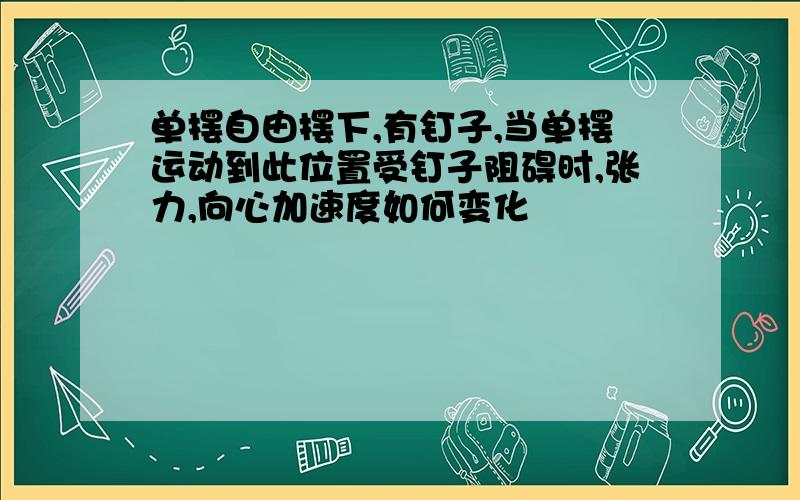 单摆自由摆下,有钉子,当单摆运动到此位置受钉子阻碍时,张力,向心加速度如何变化