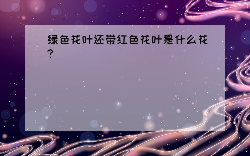 绿色花叶还带红色花叶是什么花?