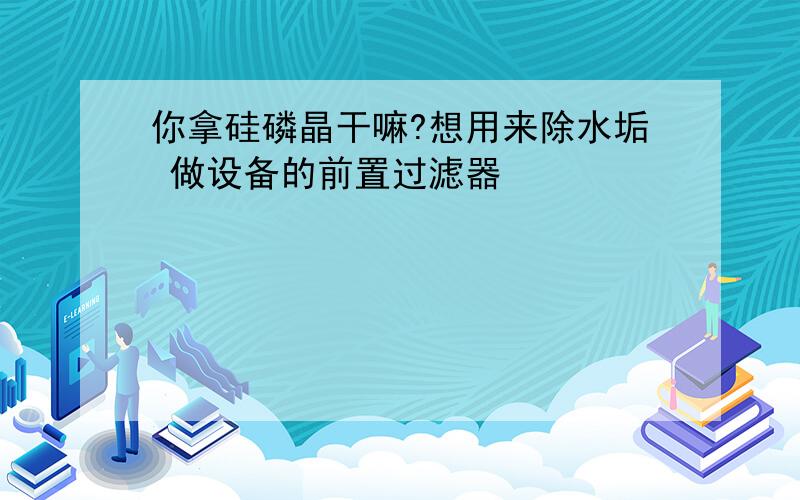 你拿硅磷晶干嘛?想用来除水垢 做设备的前置过滤器