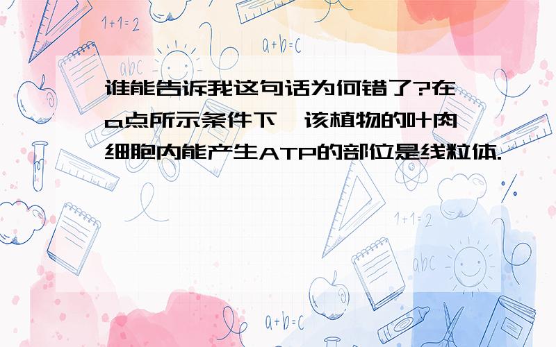 谁能告诉我这句话为何错了?在a点所示条件下,该植物的叶肉细胞内能产生ATP的部位是线粒体.