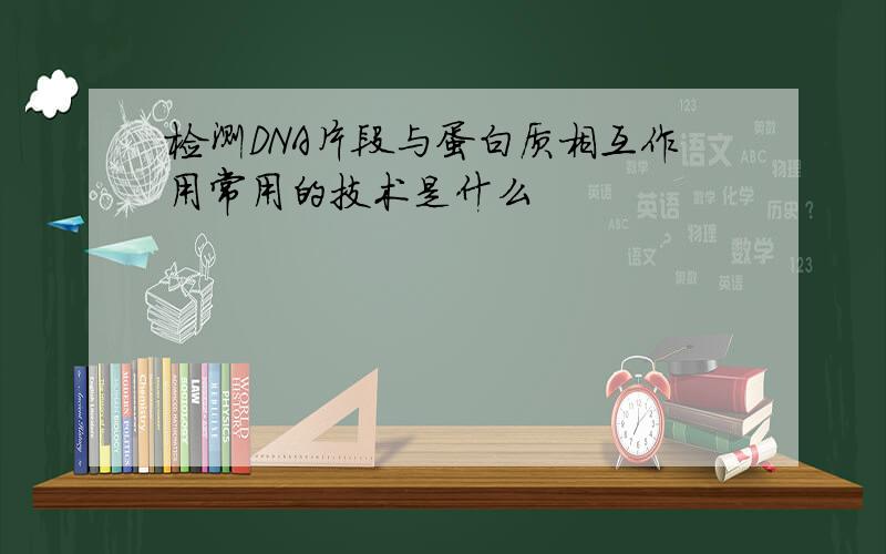 检测DNA片段与蛋白质相互作用常用的技术是什么