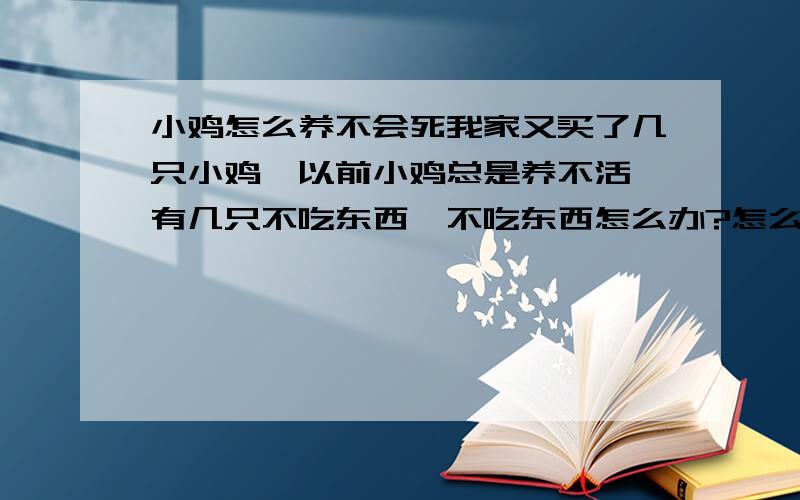 小鸡怎么养不会死我家又买了几只小鸡,以前小鸡总是养不活,有几只不吃东西,不吃东西怎么办?怎么喂小鸡?养小鸡要注意什么?怎么养小鸡小鸡不会死?还有,小鸡怎么分辨公母?