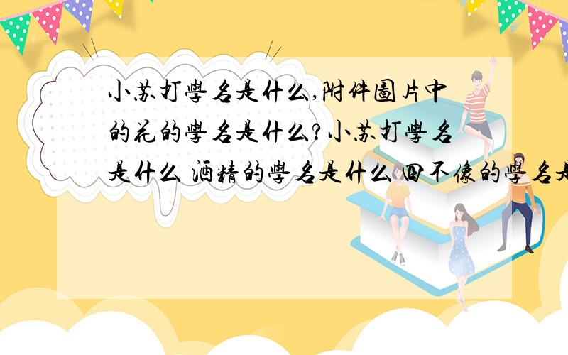 小苏打学名是什么,附件图片中的花的学名是什么?小苏打学名是什么 酒精的学名是什么 四不像的学名是什么 学名是什么 tpr学名是什么 洋葱的学名是什么 豆芽的学名叫什么呢 安眠药学名 拉