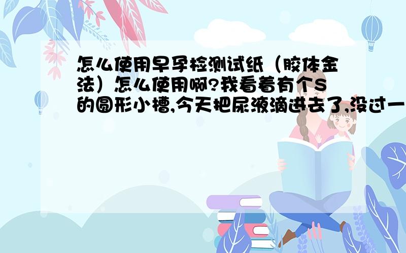 怎么使用早孕检测试纸（胶体金法）怎么使用啊?我看着有个S的圆形小槽,今天把尿液滴进去了,没过一会液体就没了,我接着滴.一会又没了,后来没滴,一会那个C、T槽里有了一条红线,红线是在C