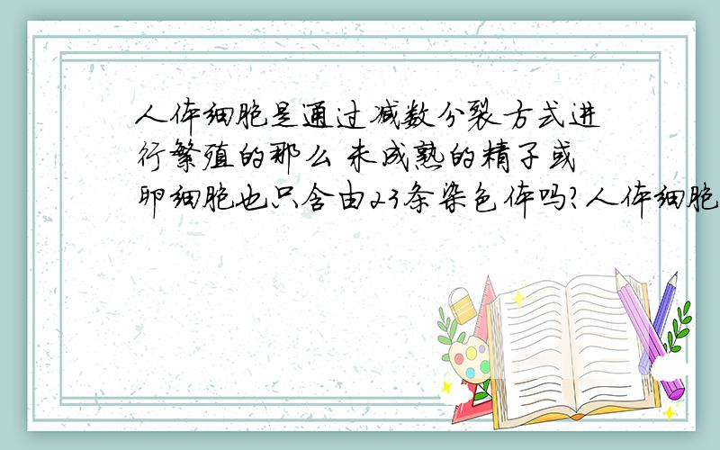 人体细胞是通过减数分裂方式进行繁殖的那么 未成熟的精子或卵细胞也只含由23条染色体吗?人体细胞是通过减数分裂方式进行繁殖的,即1个细胞分裂为2个,2个再分裂为4个,这样继续分裂下去.