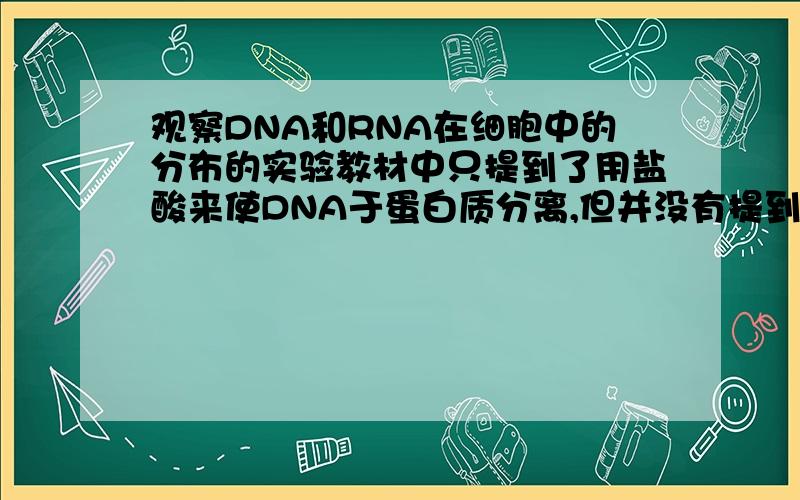 观察DNA和RNA在细胞中的分布的实验教材中只提到了用盐酸来使DNA于蛋白质分离,但并没有提到是否也同时让RNA与蛋白质分离,是盐酸同时也起到了分离RNA和蛋白质的作用还是RNA不需要与蛋白质