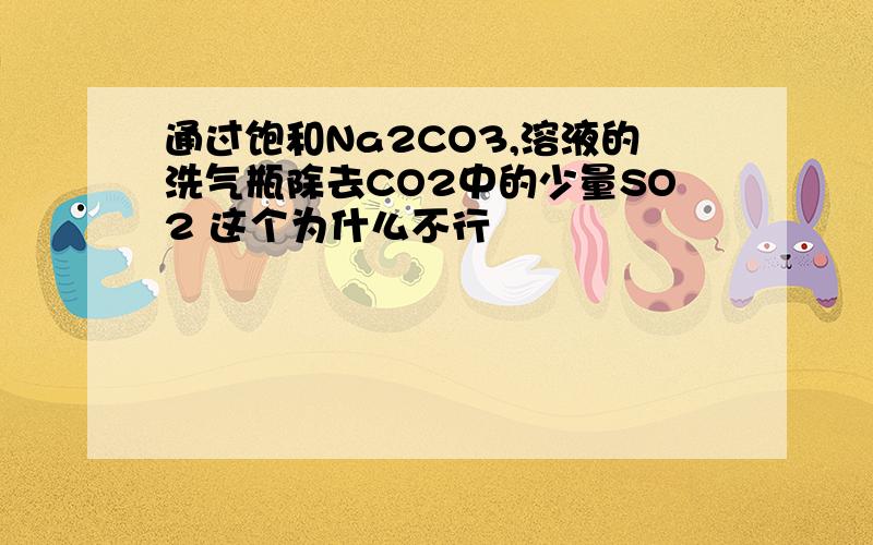 通过饱和Na2CO3,溶液的洗气瓶除去CO2中的少量SO2 这个为什么不行