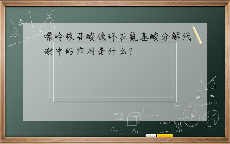 嘌呤核苷酸循环在氨基酸分解代谢中的作用是什么?