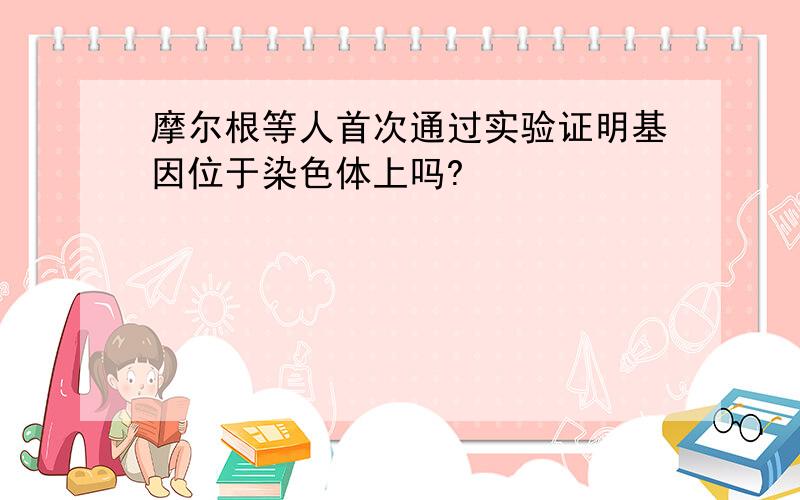 摩尔根等人首次通过实验证明基因位于染色体上吗?