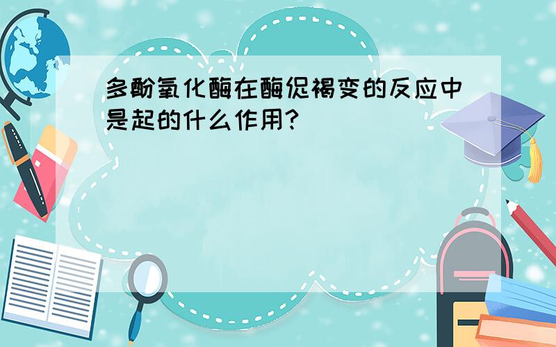 多酚氧化酶在酶促褐变的反应中是起的什么作用?