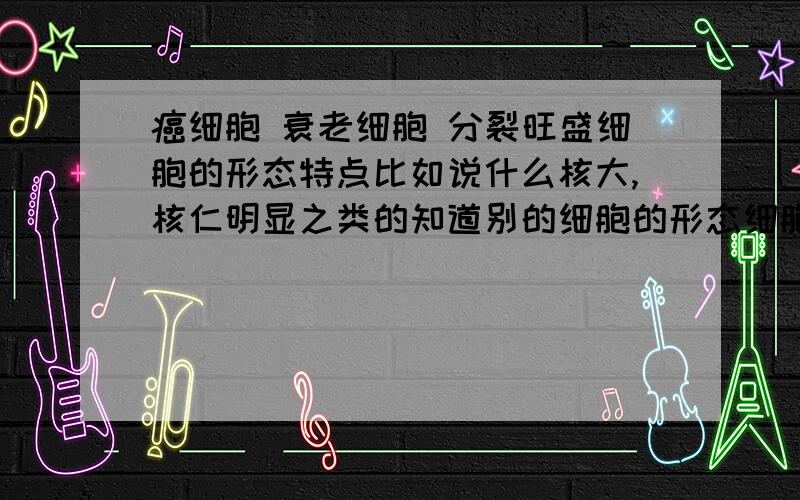 癌细胞 衰老细胞 分裂旺盛细胞的形态特点比如说什么核大,核仁明显之类的知道别的细胞的形态细胞的也可以说