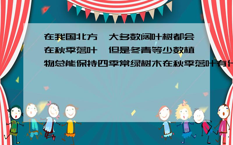 在我国北方,大多数阔叶树都会在秋季落叶,但是冬青等少数植物总能保持四季常绿树木在秋季落叶有什么好处