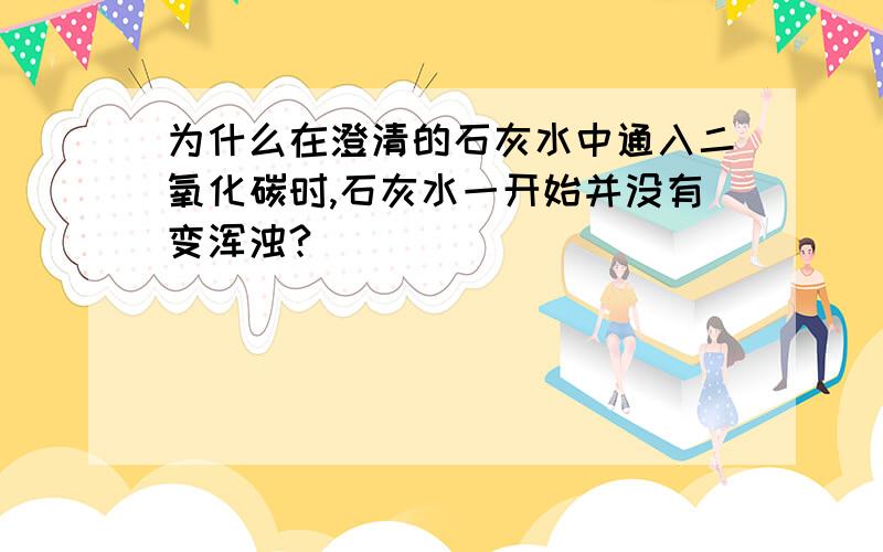 为什么在澄清的石灰水中通入二氧化碳时,石灰水一开始并没有变浑浊?