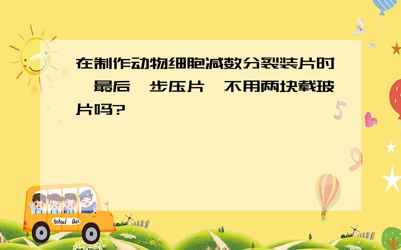 在制作动物细胞减数分裂装片时,最后一步压片,不用两块载玻片吗?