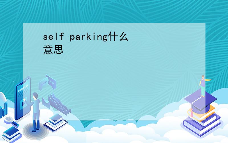 self parking什么意思