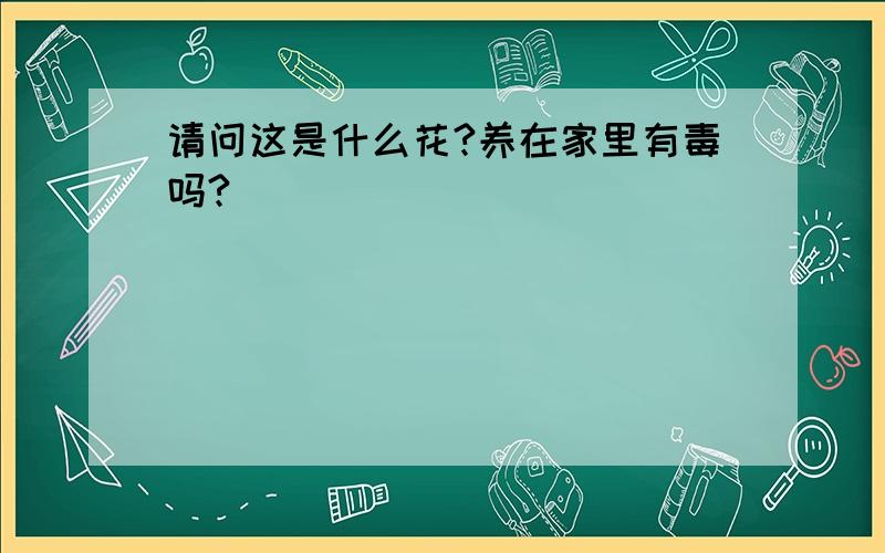 请问这是什么花?养在家里有毒吗?