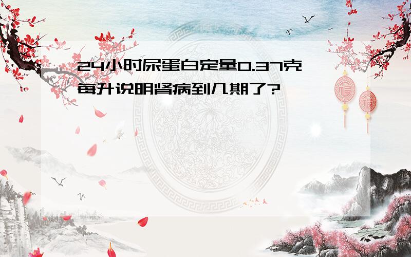 24小时尿蛋白定量0.37克每升说明肾病到几期了?