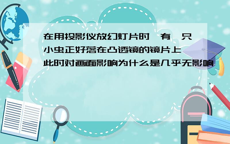 在用投影仪放幻灯片时,有一只小虫正好落在凸透镜的镜片上,此时对画面影响为什么是几乎无影响