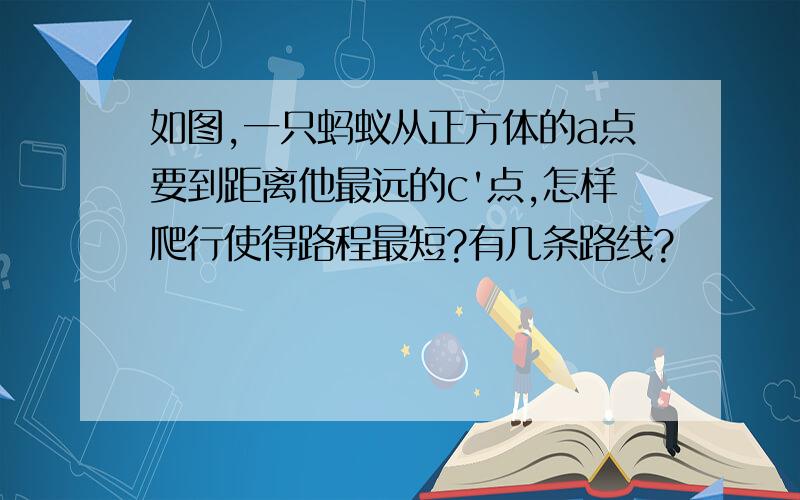 如图,一只蚂蚁从正方体的a点要到距离他最远的c'点,怎样爬行使得路程最短?有几条路线?