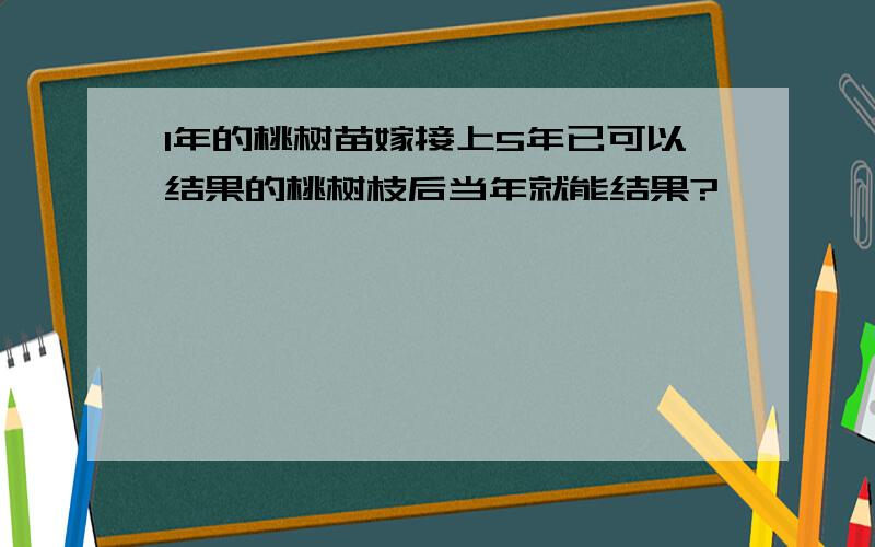 1年的桃树苗嫁接上5年已可以结果的桃树枝后当年就能结果?