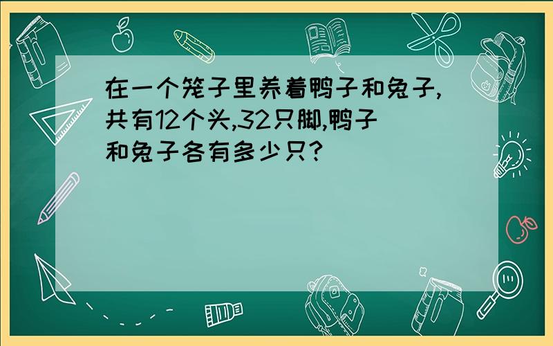 在一个笼子里养着鸭子和兔子,共有12个头,32只脚,鸭子和兔子各有多少只?