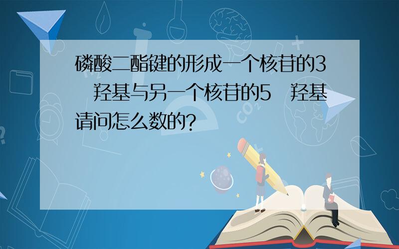 磷酸二酯键的形成一个核苷的3ˊ羟基与另一个核苷的5ˊ羟基请问怎么数的?