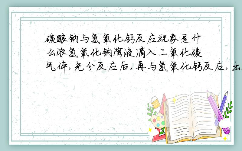 碳酸钠与氢氧化钙反应现象是什么浓氢氧化钠溶液滴入二氧化碳气体,充分反应后,再与氢氧化钙反应,出现的现象是什么