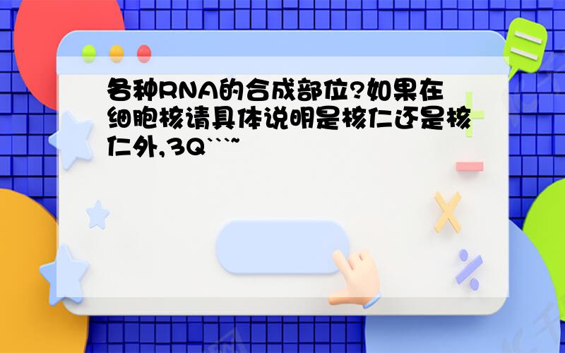 各种RNA的合成部位?如果在细胞核请具体说明是核仁还是核仁外,3Q```~