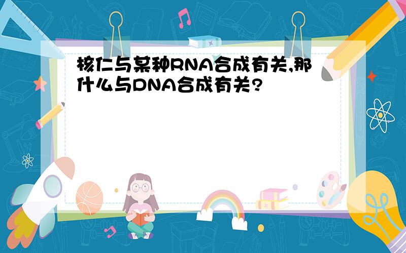 核仁与某种RNA合成有关,那什么与DNA合成有关?