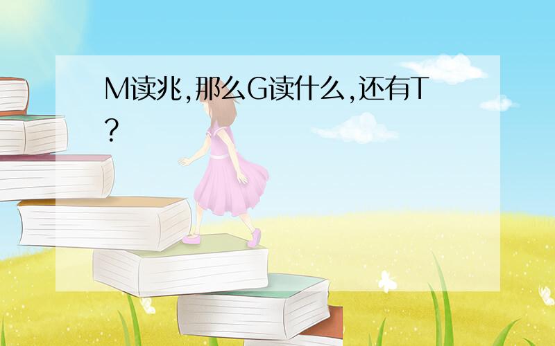 M读兆,那么G读什么,还有T?