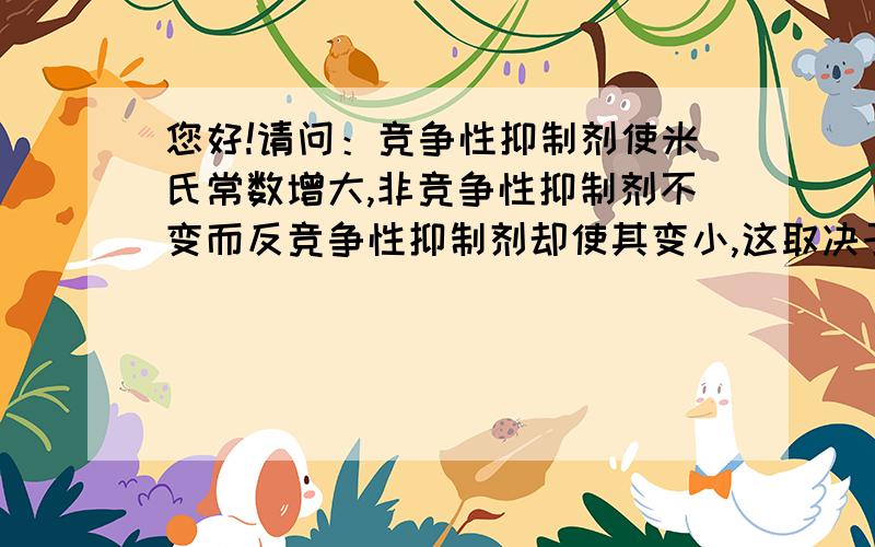 您好!请问：竞争性抑制剂使米氏常数增大,非竞争性抑制剂不变而反竞争性抑制剂却使其变小,这取决于什么