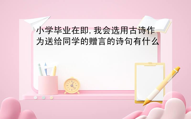 小学毕业在即,我会选用古诗作为送给同学的赠言的诗句有什么