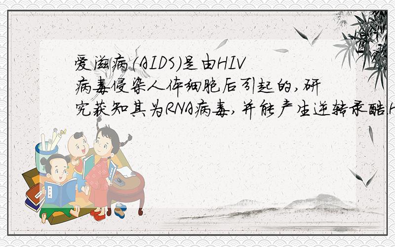 爱滋病（AIDS）是由HIV病毒侵染人体细胞后引起的,研究获知其为RNA病毒,并能产生逆转录酶.HIV有100种不同的形态,有20％的遗传物质因人而异,众多HIV变异株是目前研制HIV疫苗的主要障碍.（1）HIV