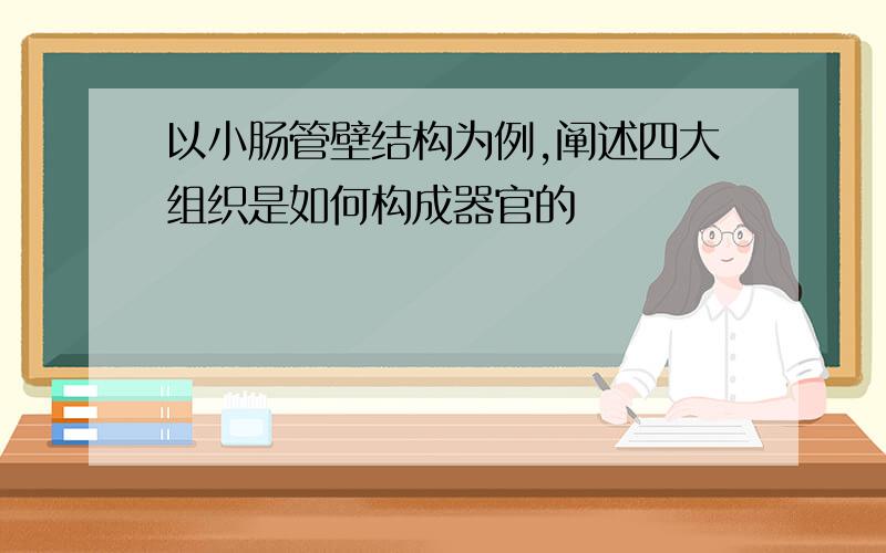 以小肠管壁结构为例,阐述四大组织是如何构成器官的