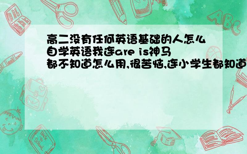 高二没有任何英语基础的人怎么自学英语我连are is神马都不知道怎么用,很苦恼,连小学生都知道的东西,词汇量估计也就不超过500个,我如果想自学的话可是除了背单词其他的一概不知,连最基