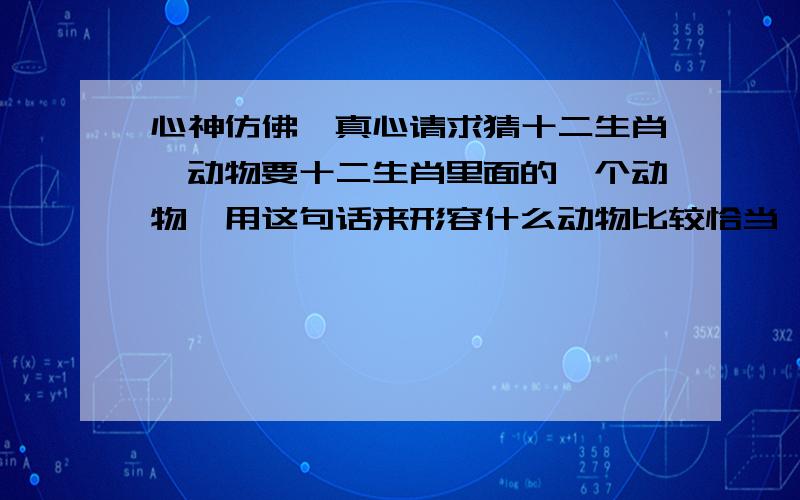 心神仿佛,真心请求猜十二生肖一动物要十二生肖里面的一个动物,用这句话来形容什么动物比较恰当,要晚上九点过后才知道