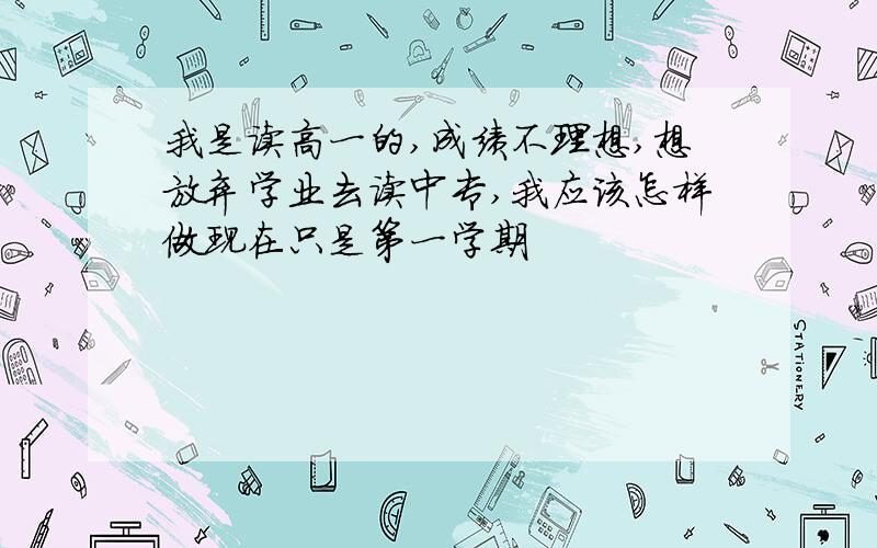 我是读高一的,成绩不理想,想放弃学业去读中专,我应该怎样做现在只是第一学期