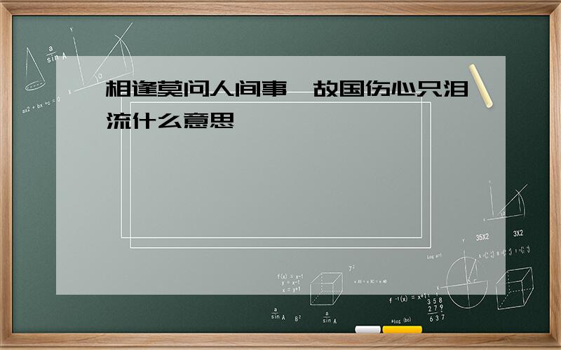 相逢莫问人间事,故国伤心只泪流什么意思