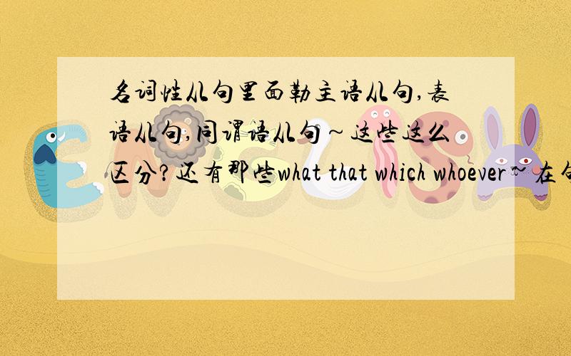 名词性从句里面勒主语从句,表语从句,同谓语从句～这些这么区分?还有那些what that which whoever~在句中是什么语,作什么成分?