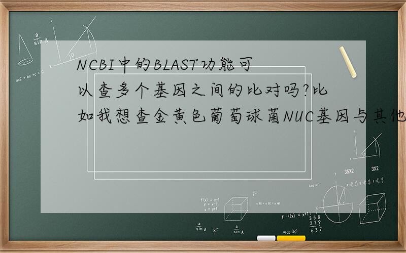 NCBI中的BLAST功能可以查多个基因之间的比对吗?比如我想查金黄色葡萄球菌NUC基因与其他葡萄球菌NUC基因之间的比对 找出一个特异性好的区段 请问下BLAST可以做到吗?