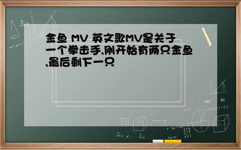 金鱼 MV 英文歌MV是关于一个拳击手,刚开始有两只金鱼,最后剩下一只