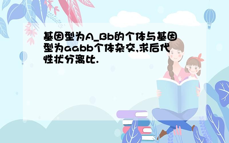 基因型为A_Bb的个体与基因型为aabb个体杂交,求后代性状分离比.