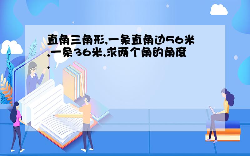 直角三角形,一条直角边56米,一条36米,求两个角的角度.