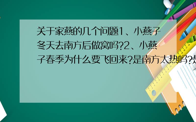 关于家燕的几个问题1、小燕子冬天去南方后做窝吗?2、小燕子春季为什么要飞回来?是南方太热吗?是南方小燕子太多,食物不足吗?3、小燕子回来又住进以前垒的窝,它们的子女为什么不与它们