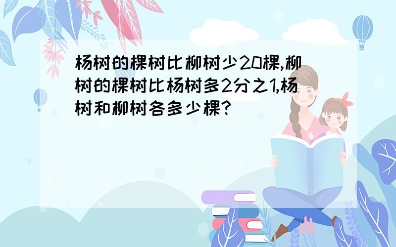 杨树的棵树比柳树少20棵,柳树的棵树比杨树多2分之1,杨树和柳树各多少棵?