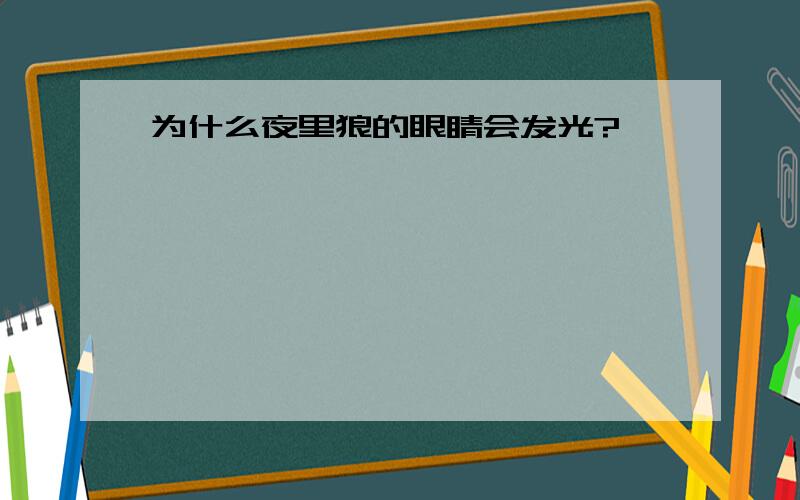 为什么夜里狼的眼睛会发光?