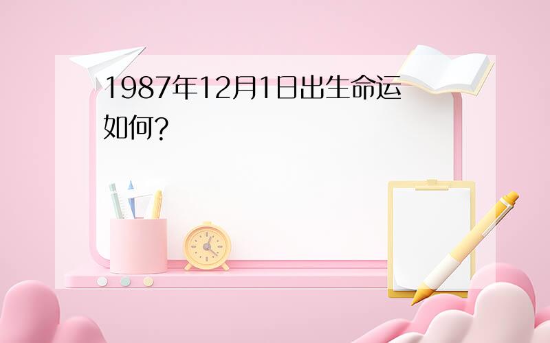 1987年12月1日出生命运如何?