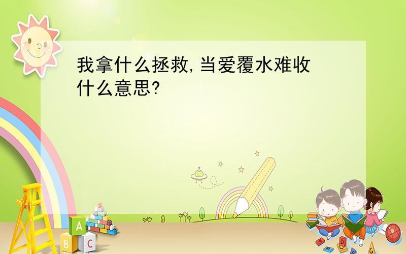 我拿什么拯救,当爱覆水难收 什么意思?